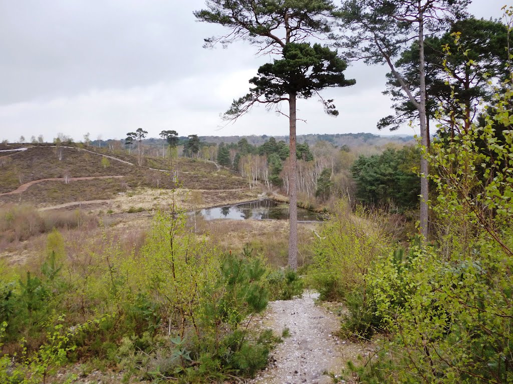 Broadstone
