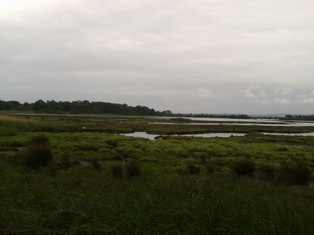 Holes Bay, Low Tied, Poole, Dorset