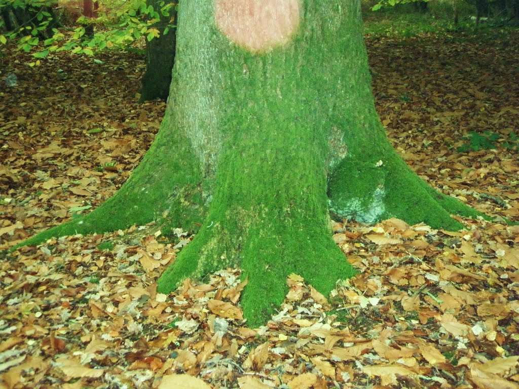 Green tree