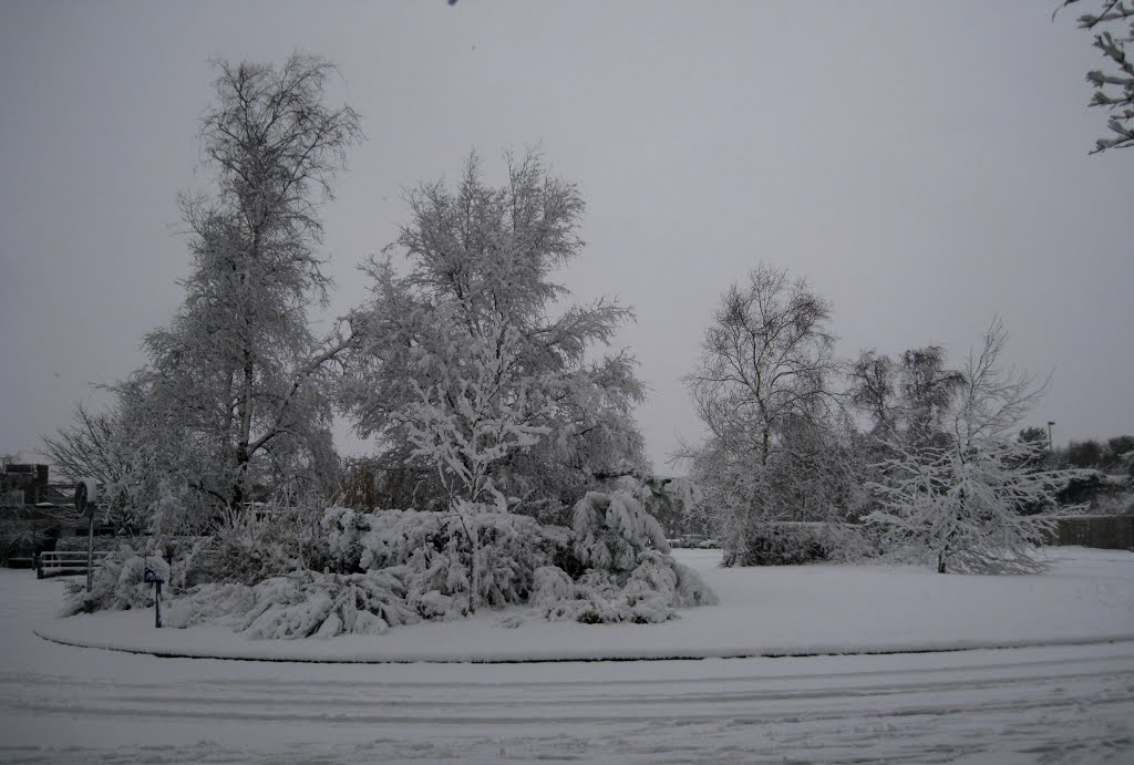 The entrance to Corfe Hills School.