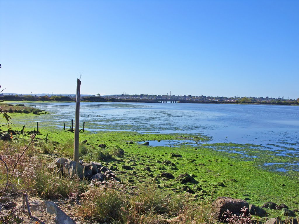 Holes Bay