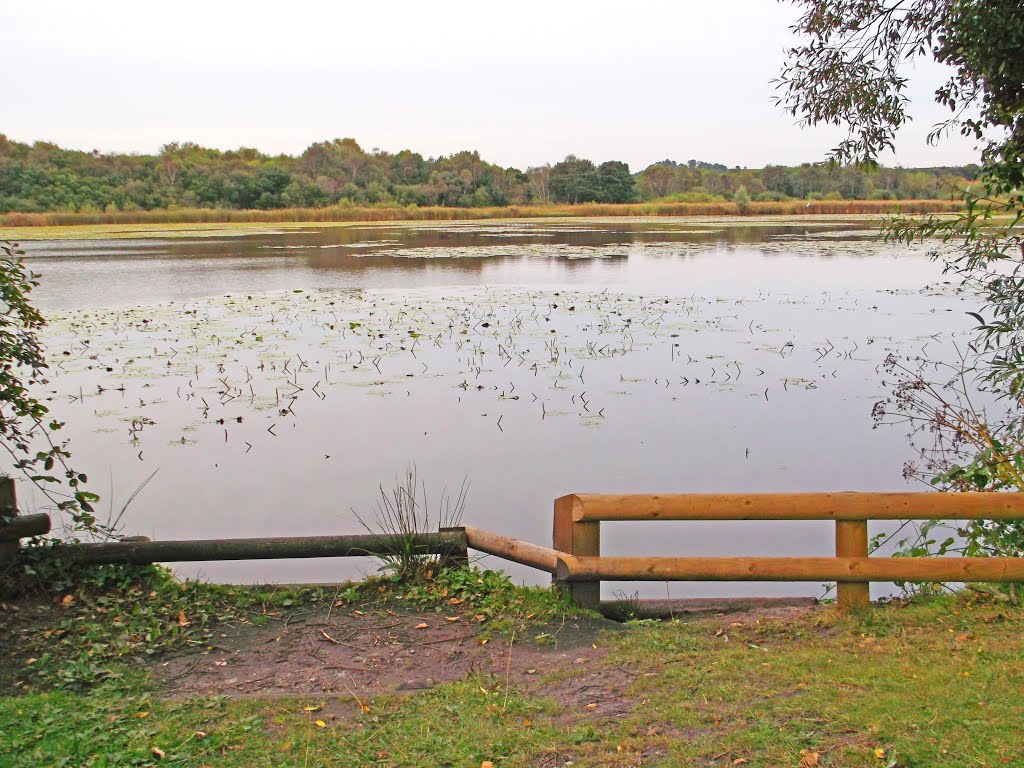 Hatch Pond