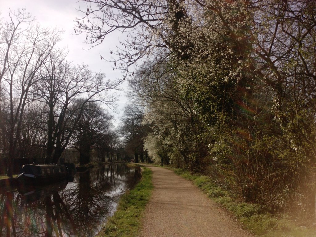 Spring in Woking