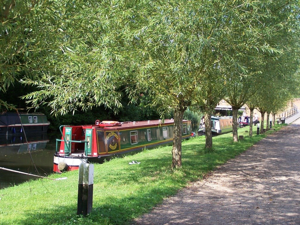 Cartbridge, Send, River Wey