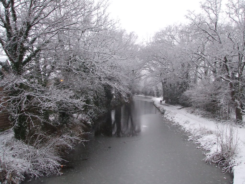 Basingstoke canal,Woking