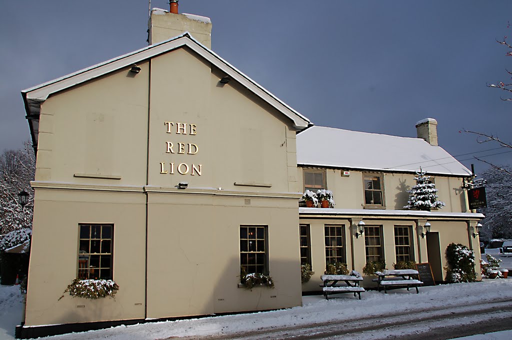 The Red Lion, Horsell High St
