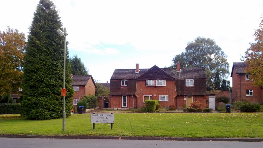 Woking,Barnsbury