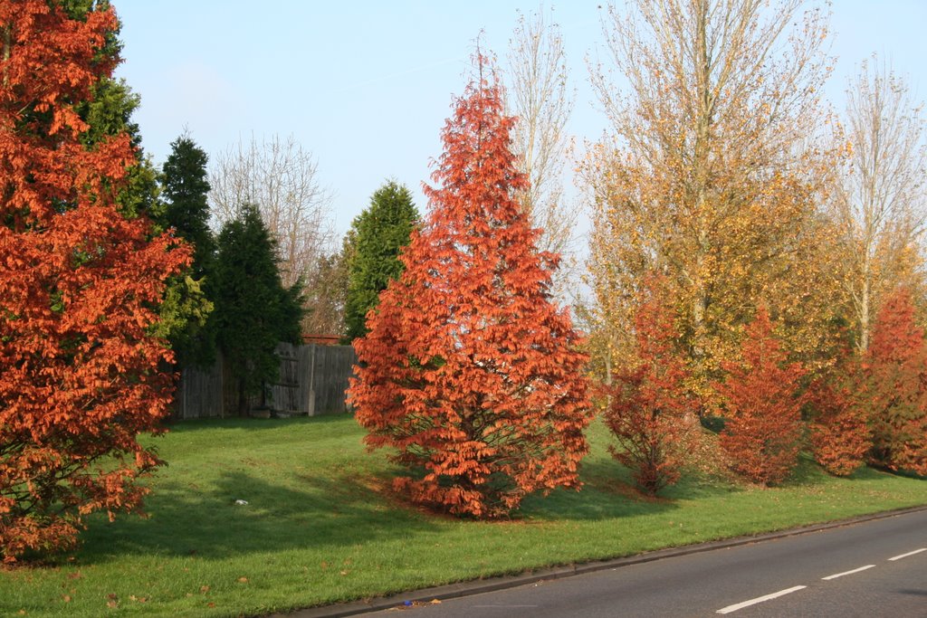 Autumn