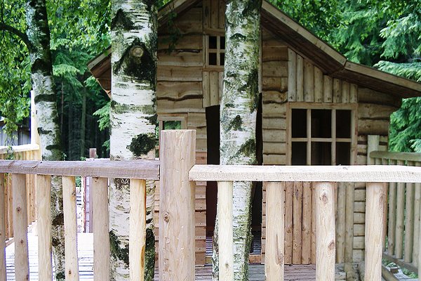Tree House - Domek na drzewie