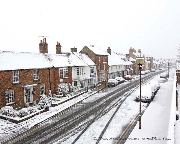 Berks, Wokingham, Rose on a snowy Sunday morning in April 2008