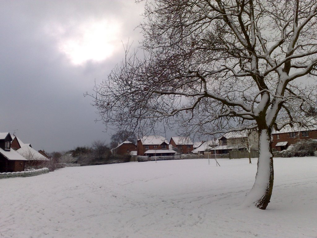 Cantley snow in Febuary 2009