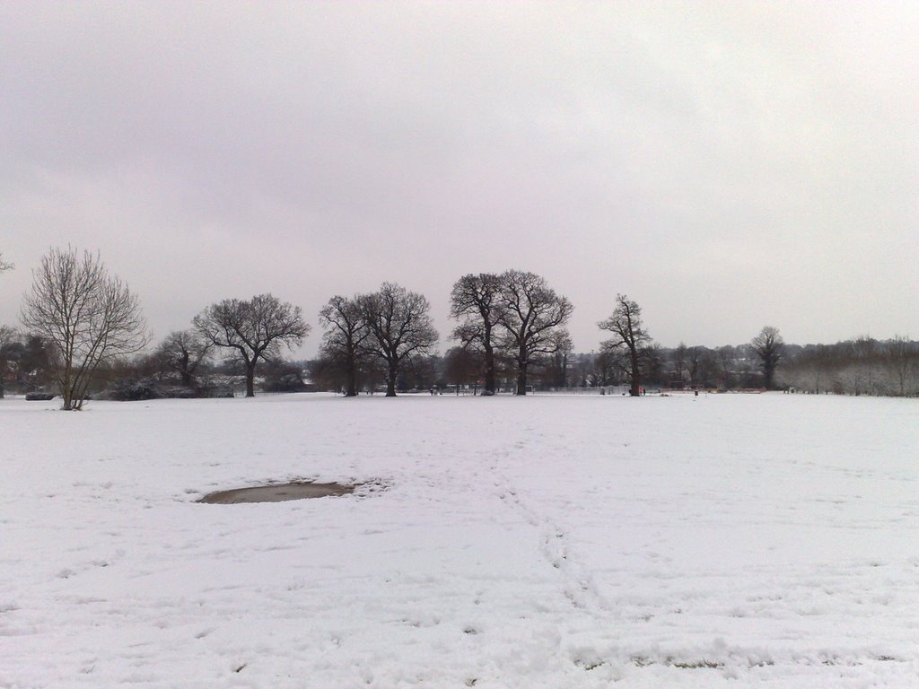 Cantley field snow Febuary 2009