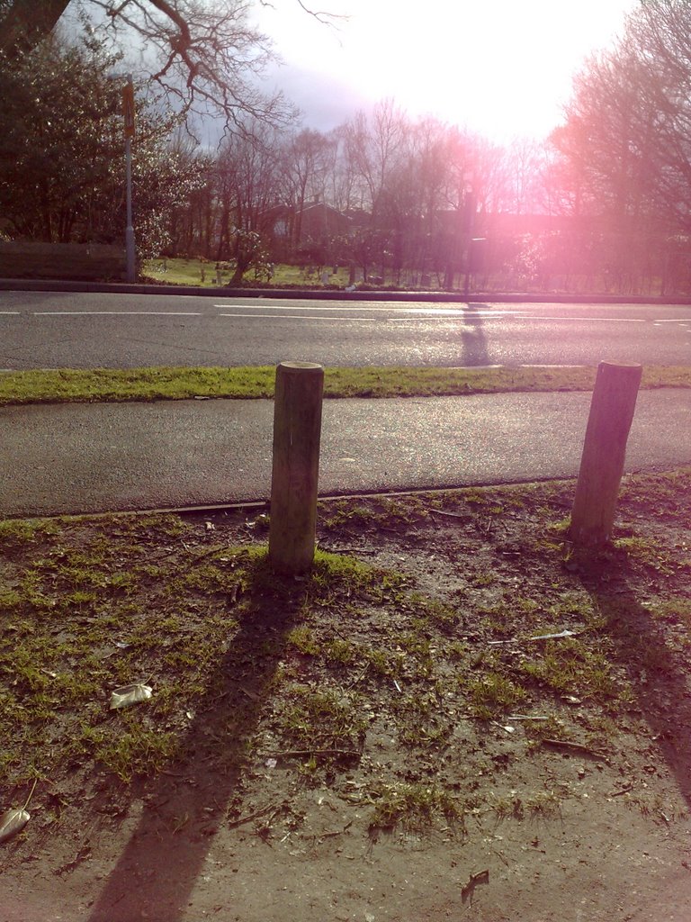 View from bench March 2008