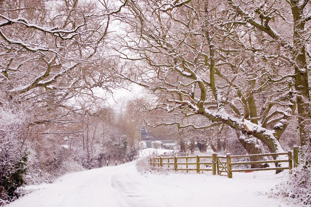 Winter in Wokingham!!!