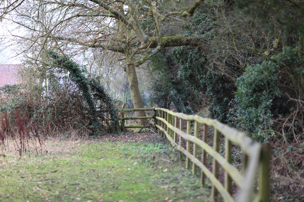 Path by Fence
