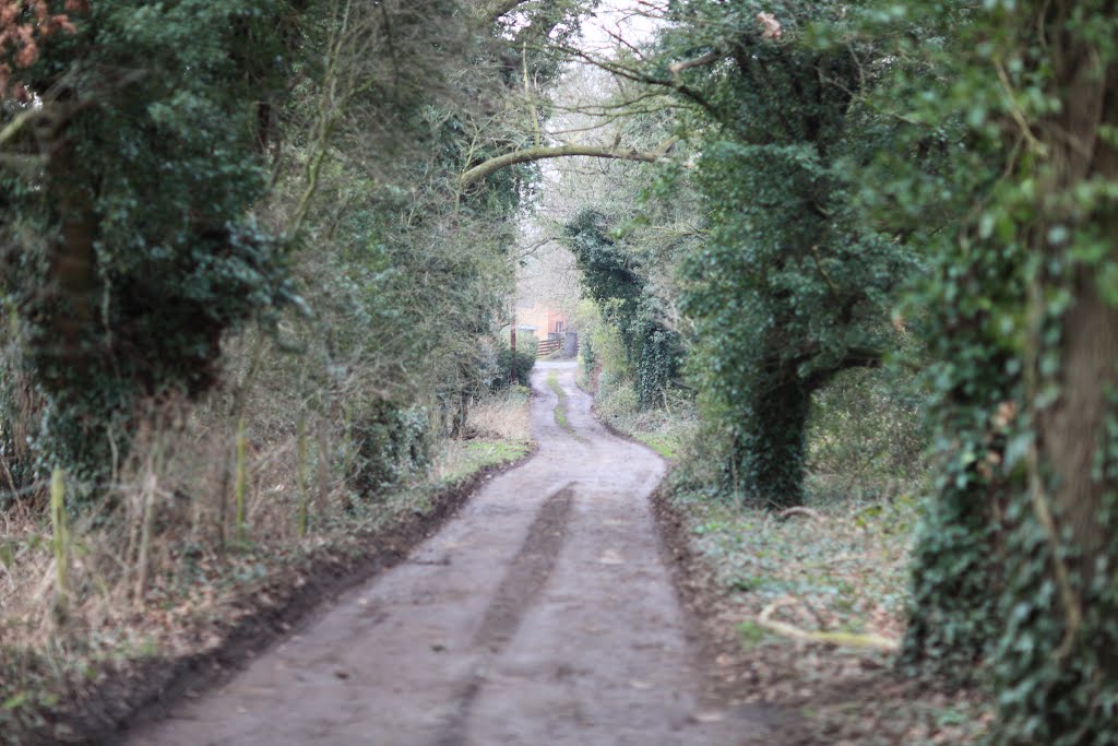 Muddy Road to Barkham
