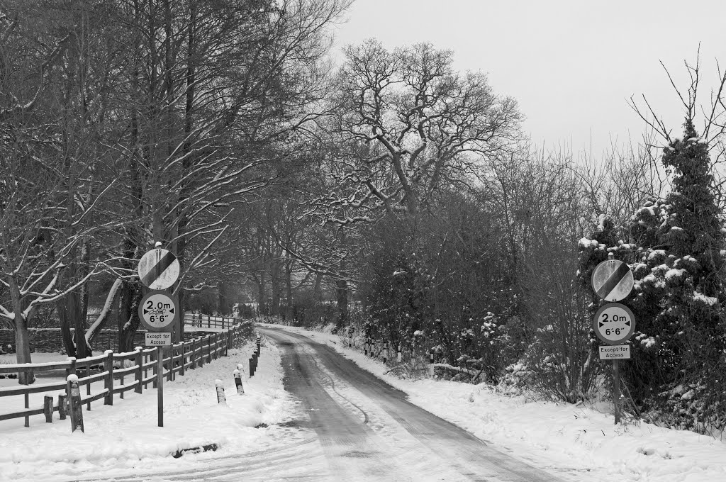 Snow in Wokingham