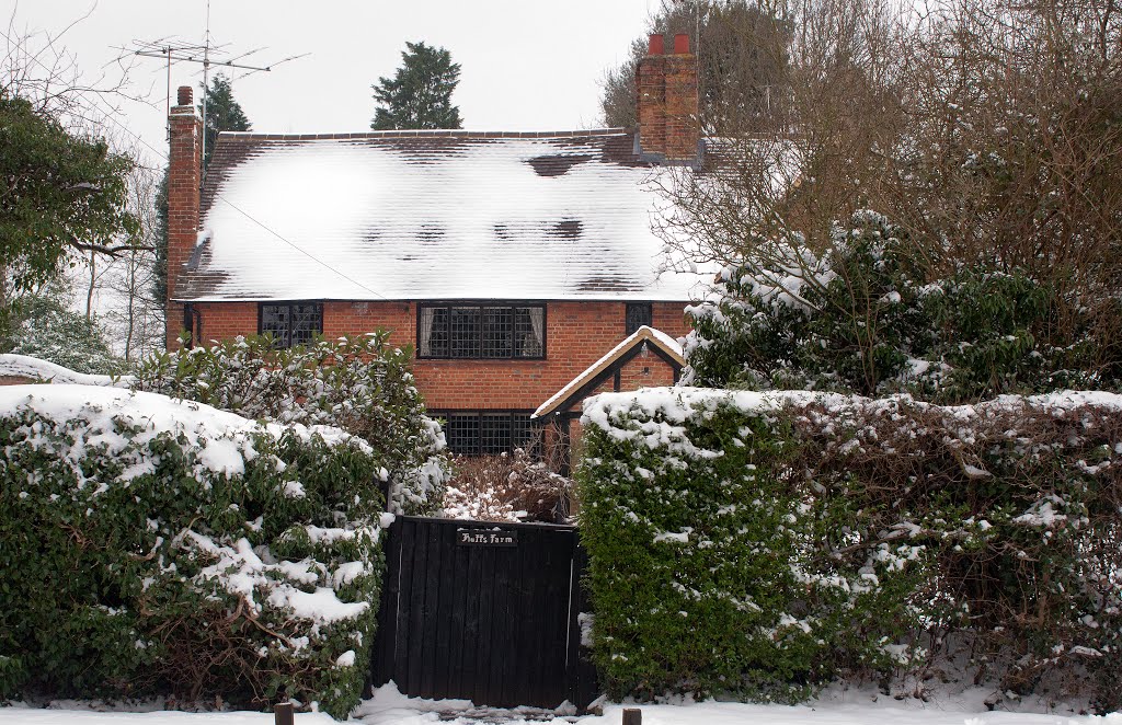 Snow in Wokingham
