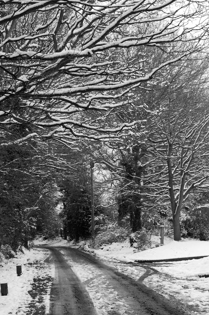 Snow in Wokingham