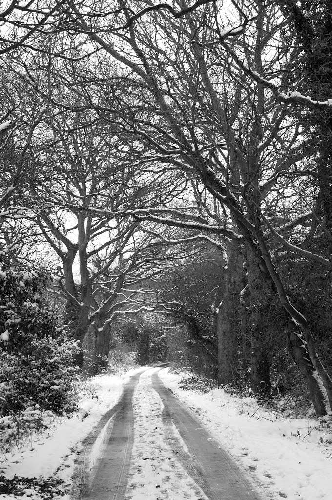 Snow in Wokingham