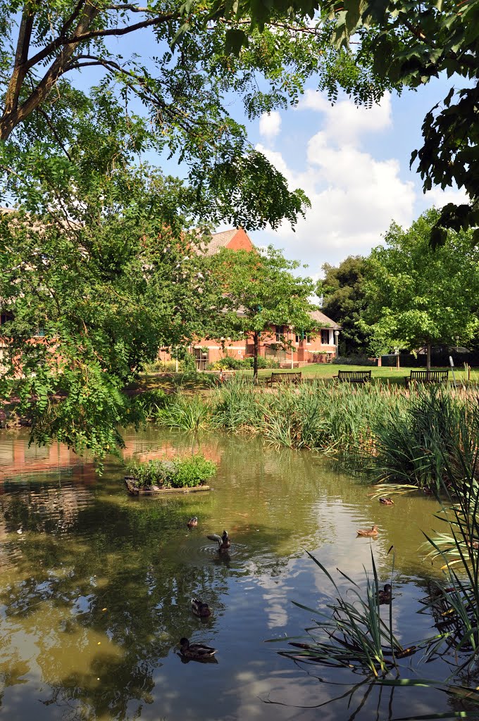 Public Rest Garden