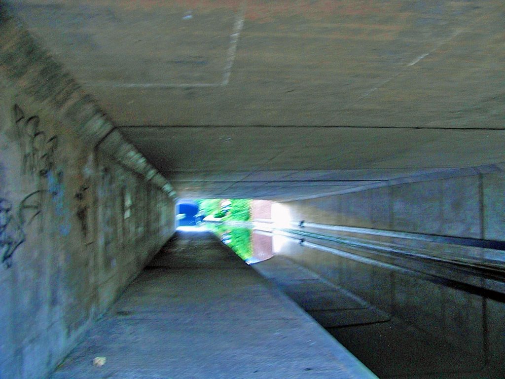 Light at the End.