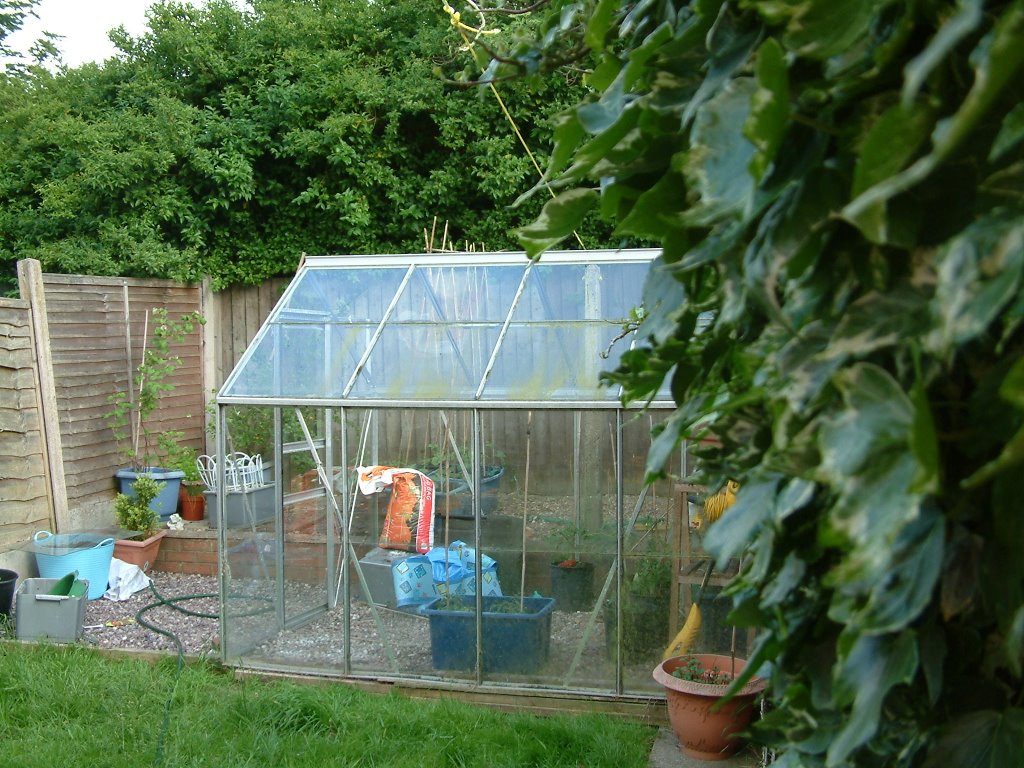 our garden