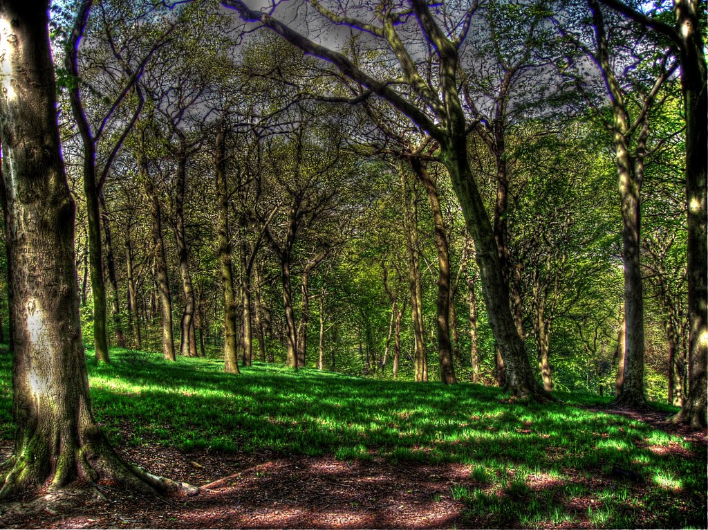 Bankswood