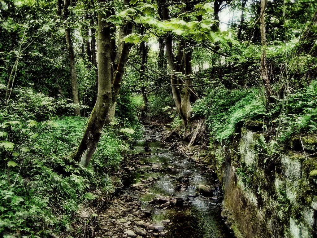 Near The Gnathole