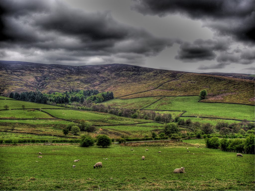 Morefield