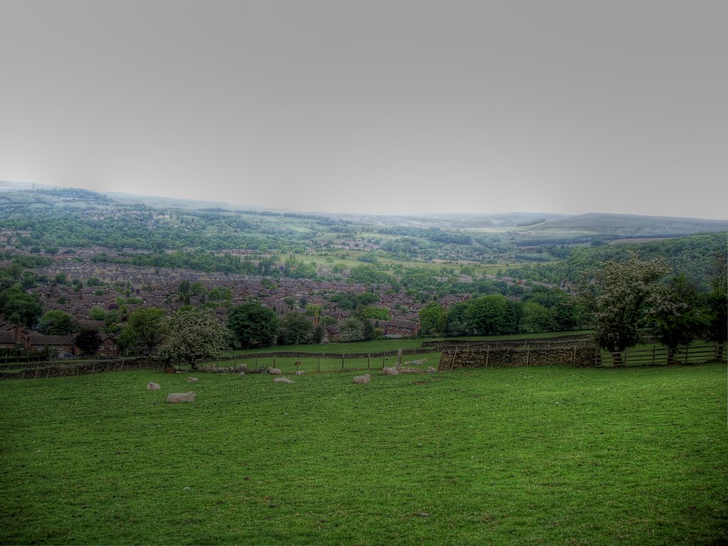 Derbyshire Level