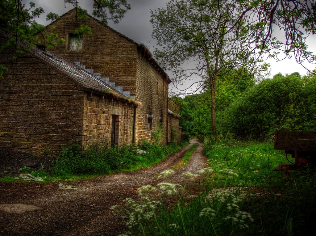 Gnat Farm