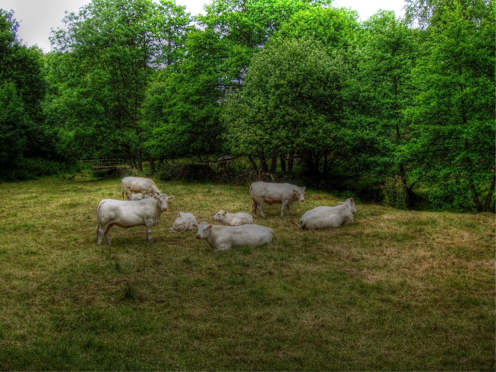 Gnat Hole Farm