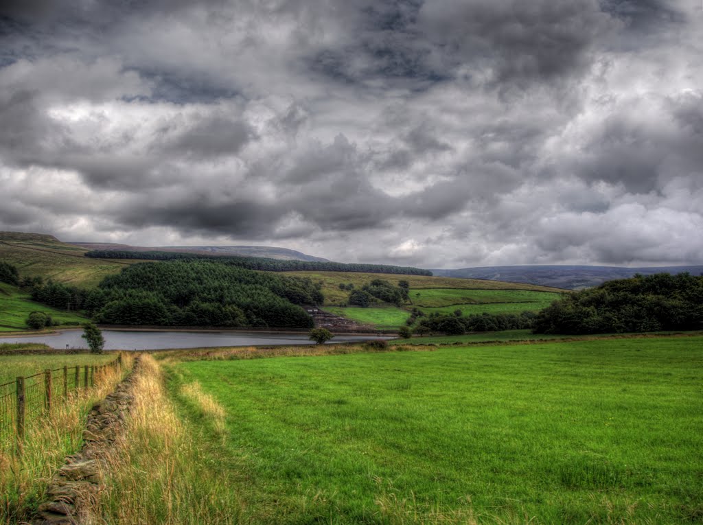 Swineshaw Reservoir - Cats Wood