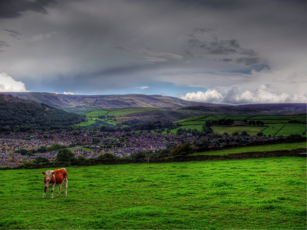 Brown Hill