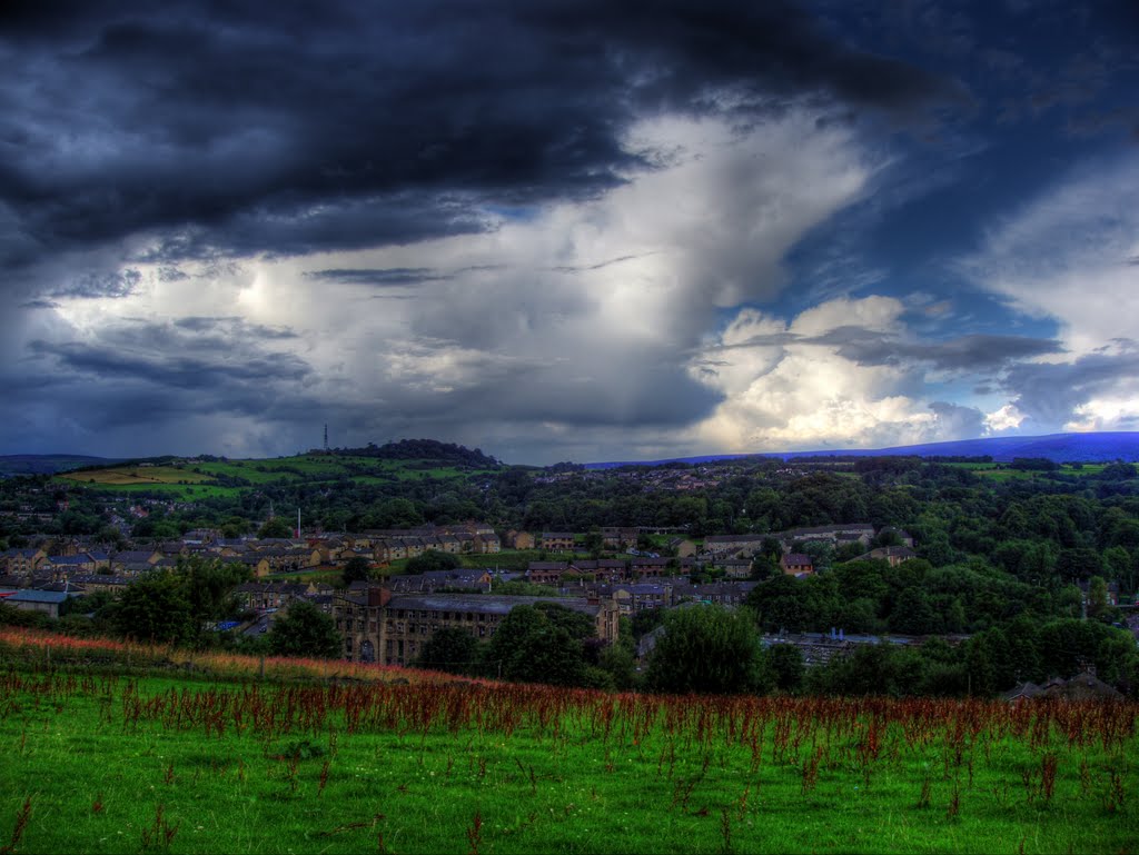 Brown Hill