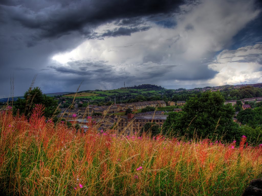 Brown Hill