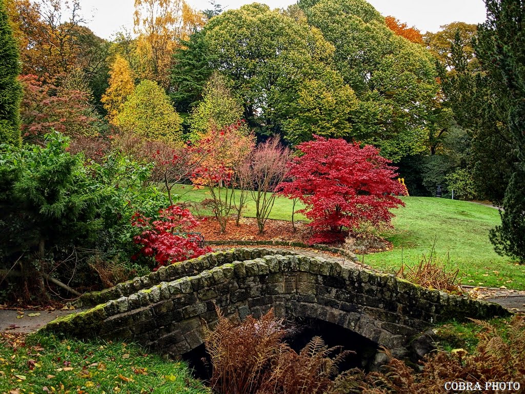 Glossop 03