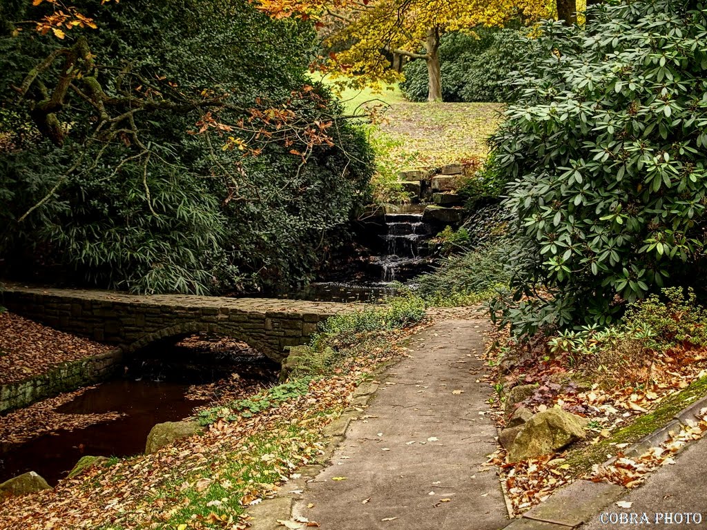 Glossop 06