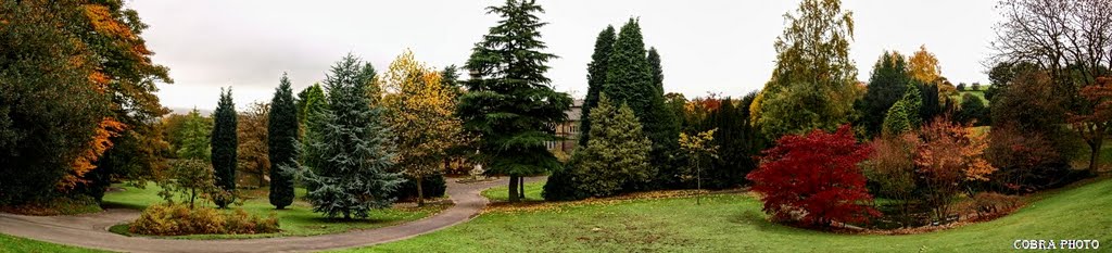 Glossop 16 ( panorama )