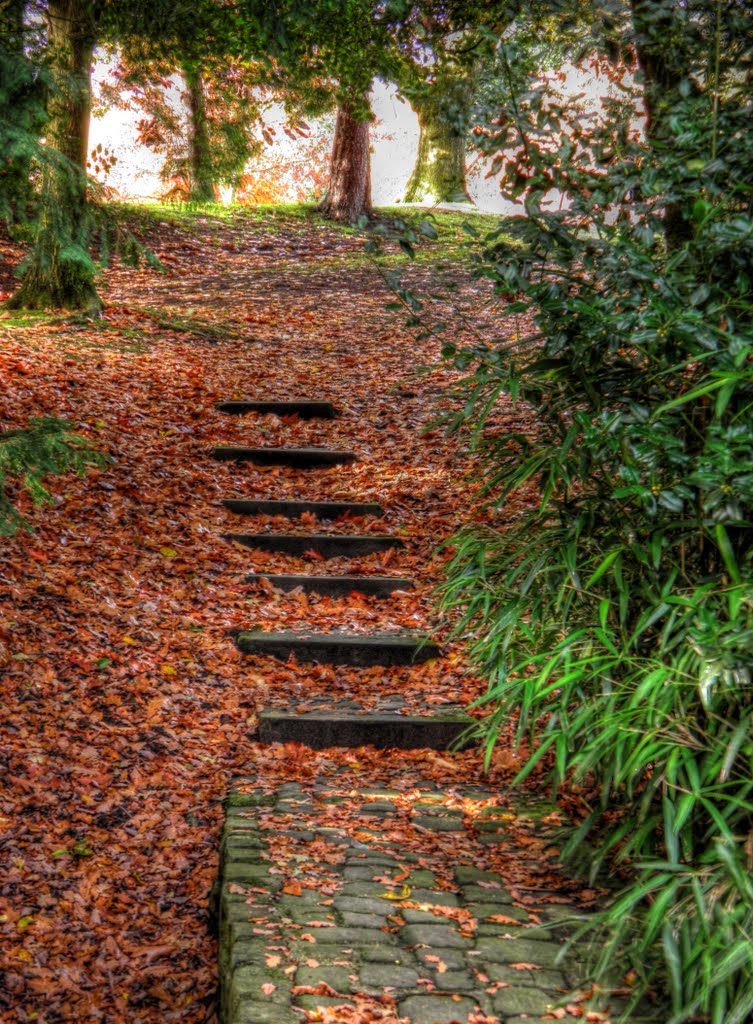 Howard Park - Glossop
