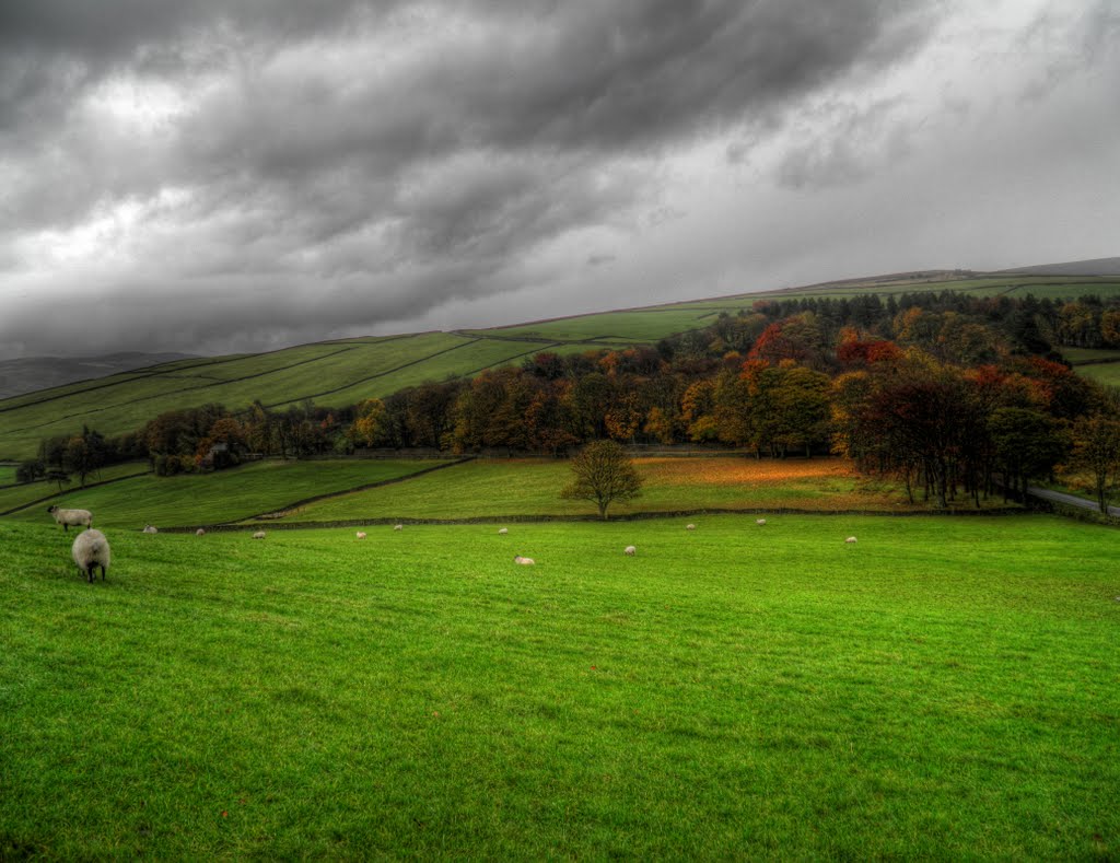 Moorfield - Glossop