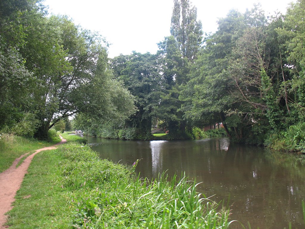 River in Godalming