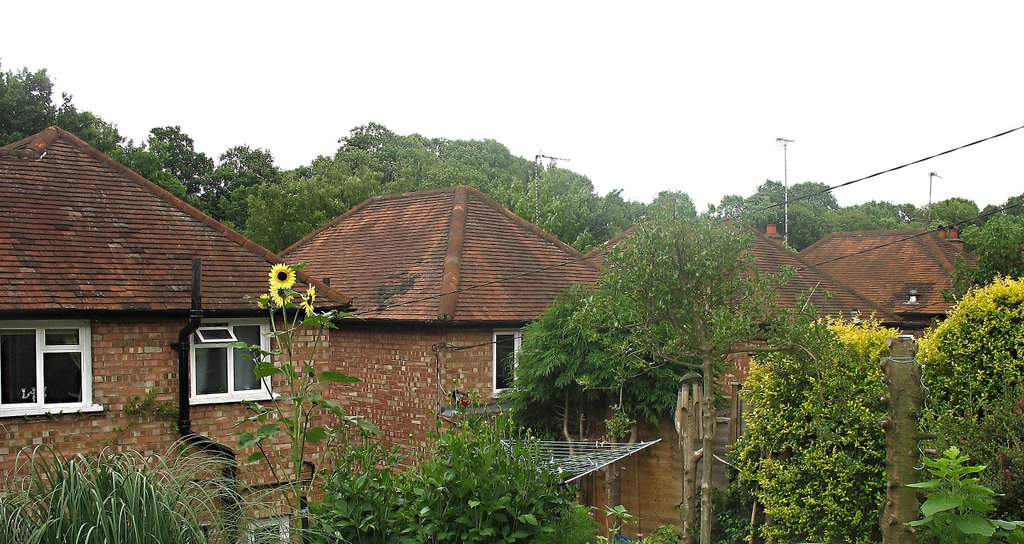 Cliffe Road