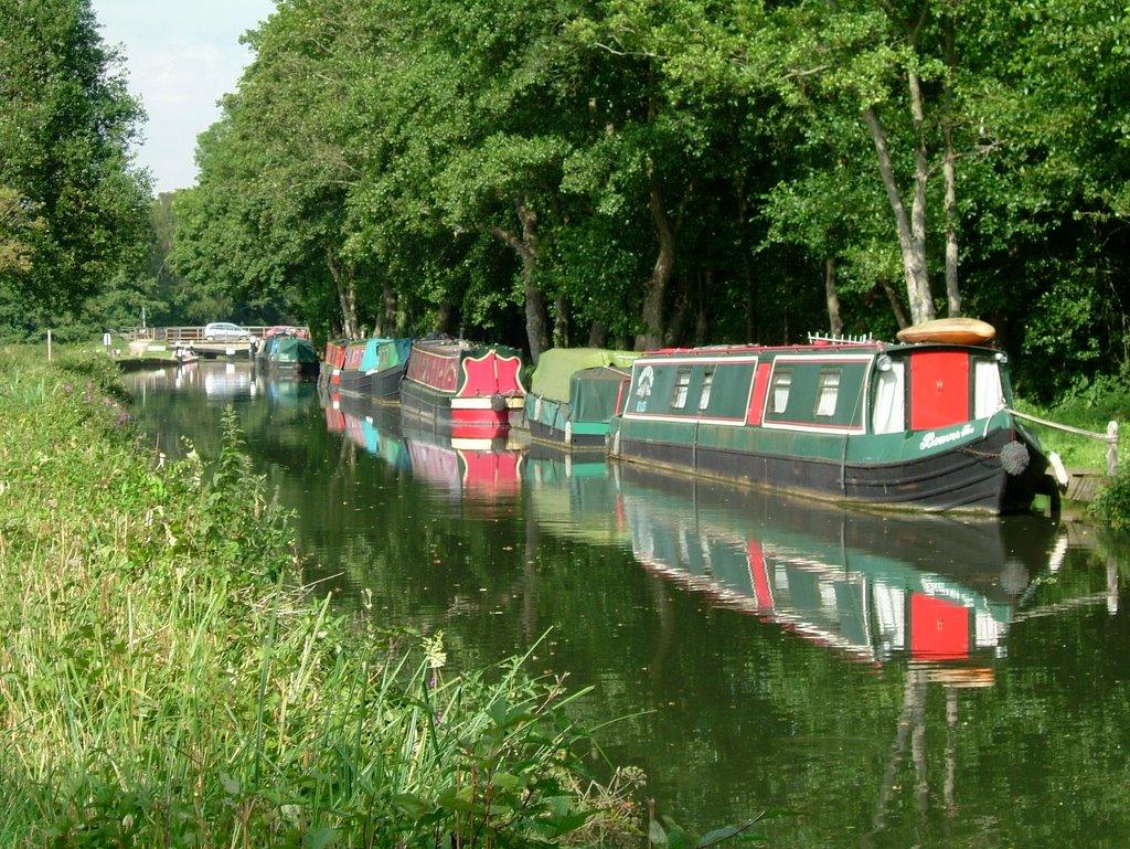 Canal Boats at Farncombe