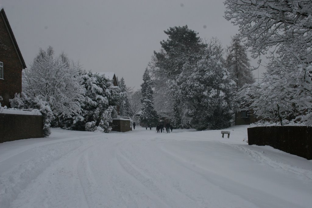 Twycross Rd Godalming Feb 2009