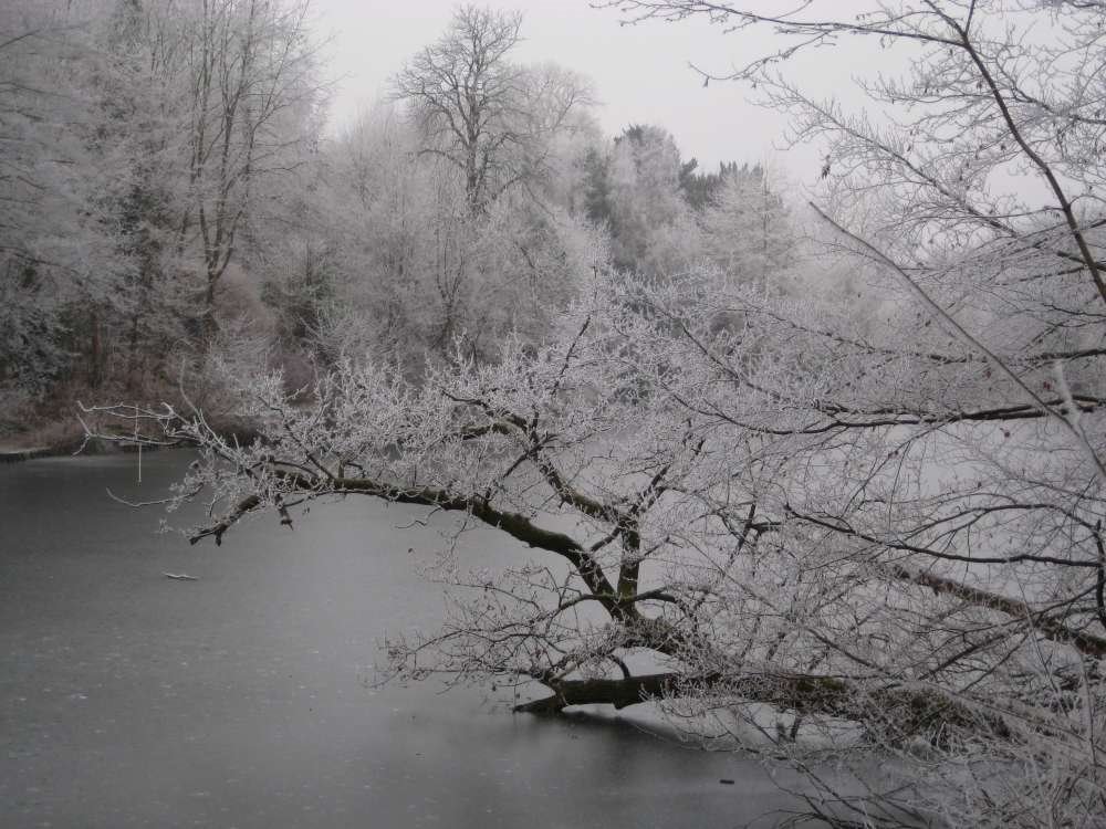 Busbridge Lower Lake