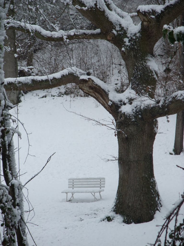 Winter bench in Tueley Lane