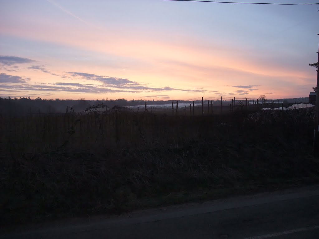 Sun rise in Tuesley Lane