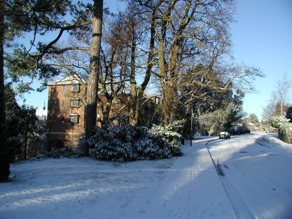 Twycross Road, Godalming